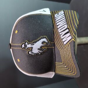 Zephyr Wyoming Cowboys Black/White Fitted Men's Hat.